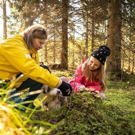 Koli Freetime Cottages Ahmovaara Zewnętrze zdjęcie