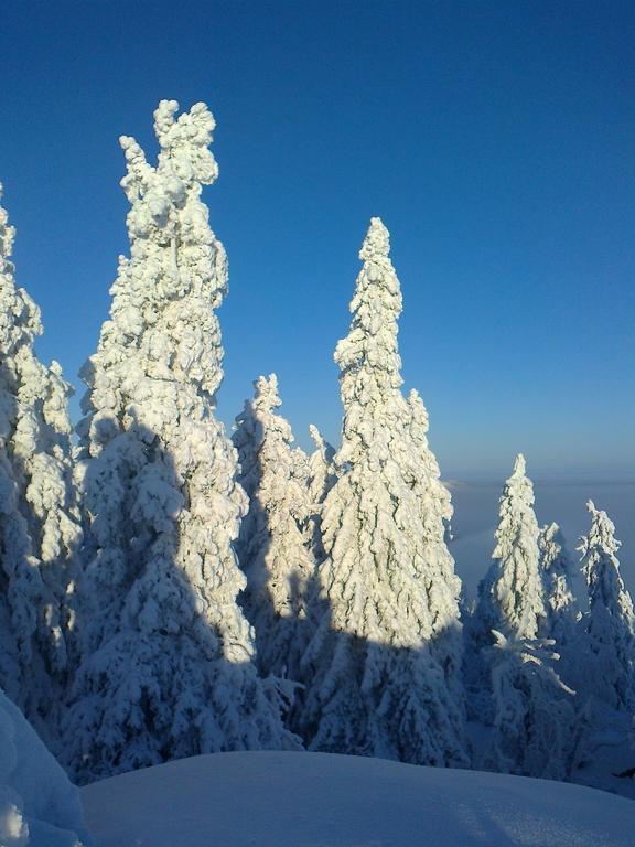 Koli Freetime Cottages Ahmovaara Pokój zdjęcie
