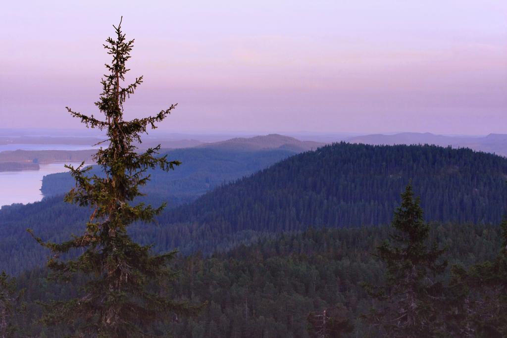 Koli Freetime Cottages Ahmovaara Pokój zdjęcie