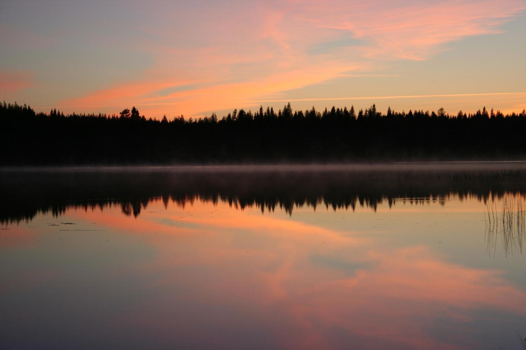 Koli Freetime Cottages Ahmovaara Pokój zdjęcie
