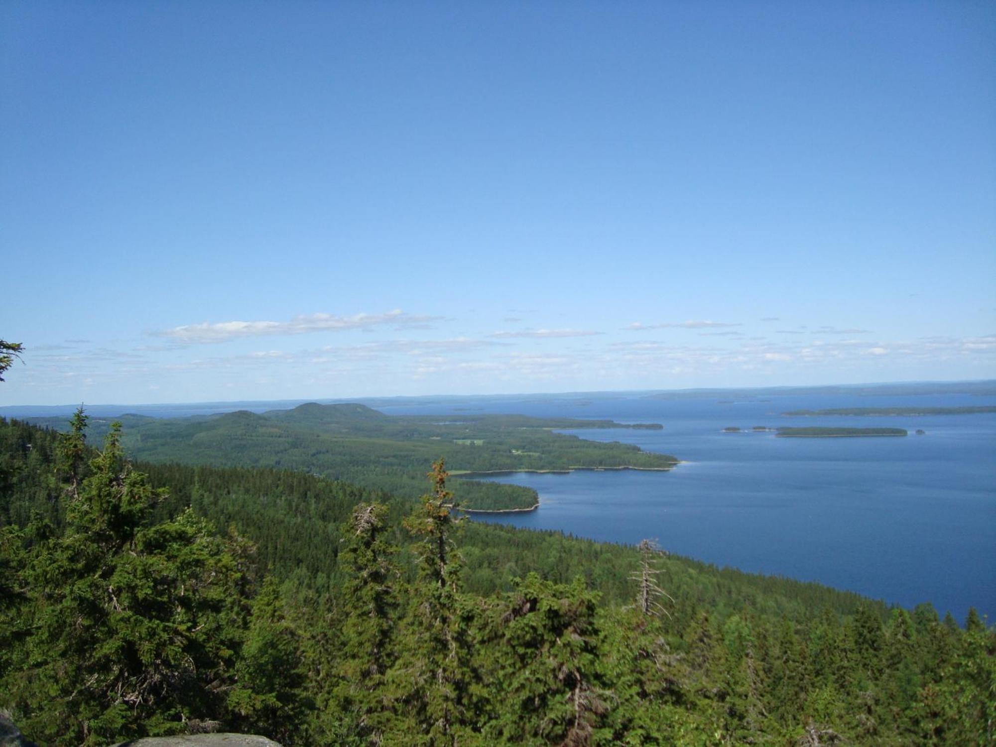 Koli Freetime Cottages Ahmovaara Pokój zdjęcie