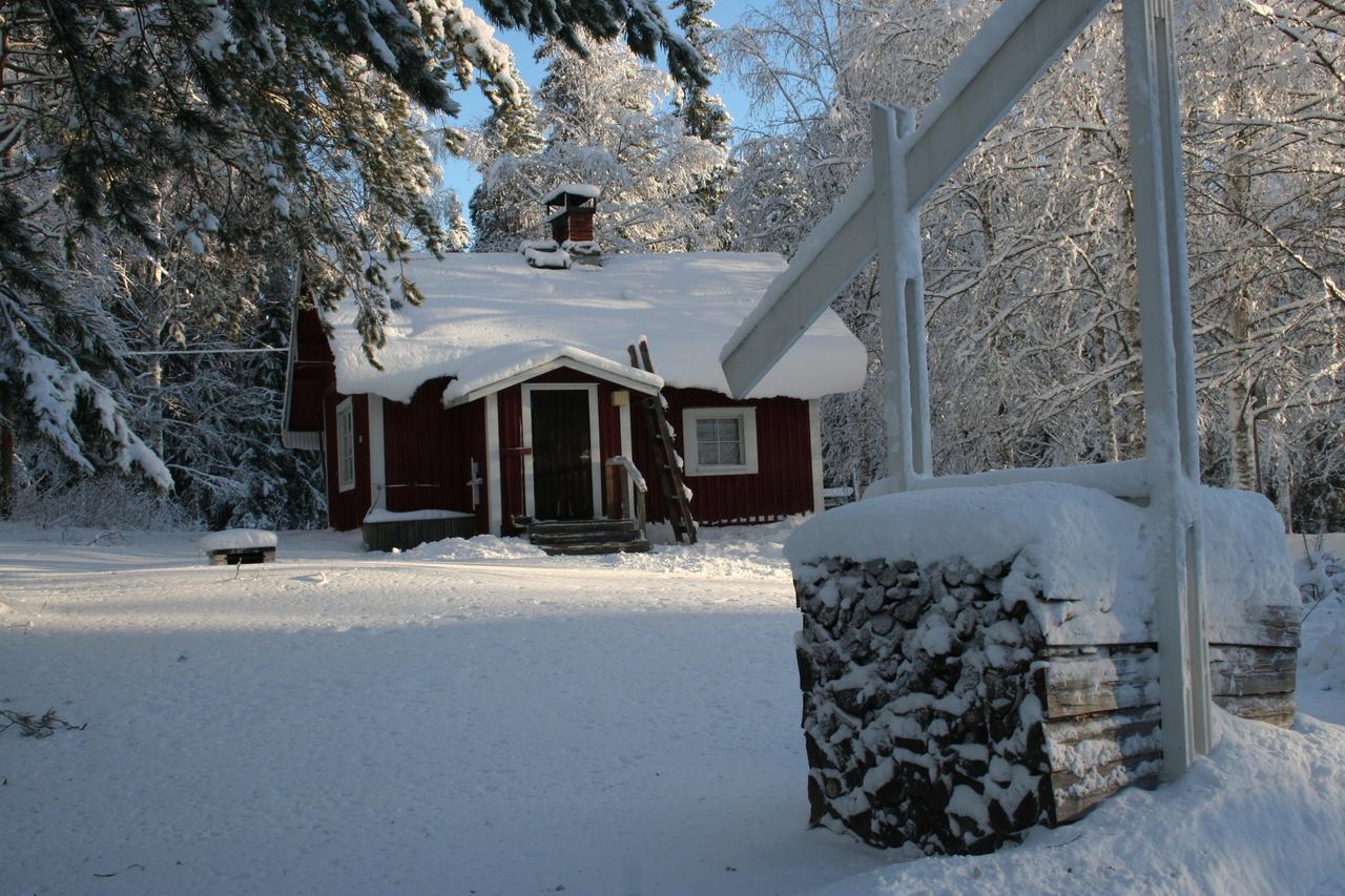 Koli Freetime Cottages Ahmovaara Zewnętrze zdjęcie